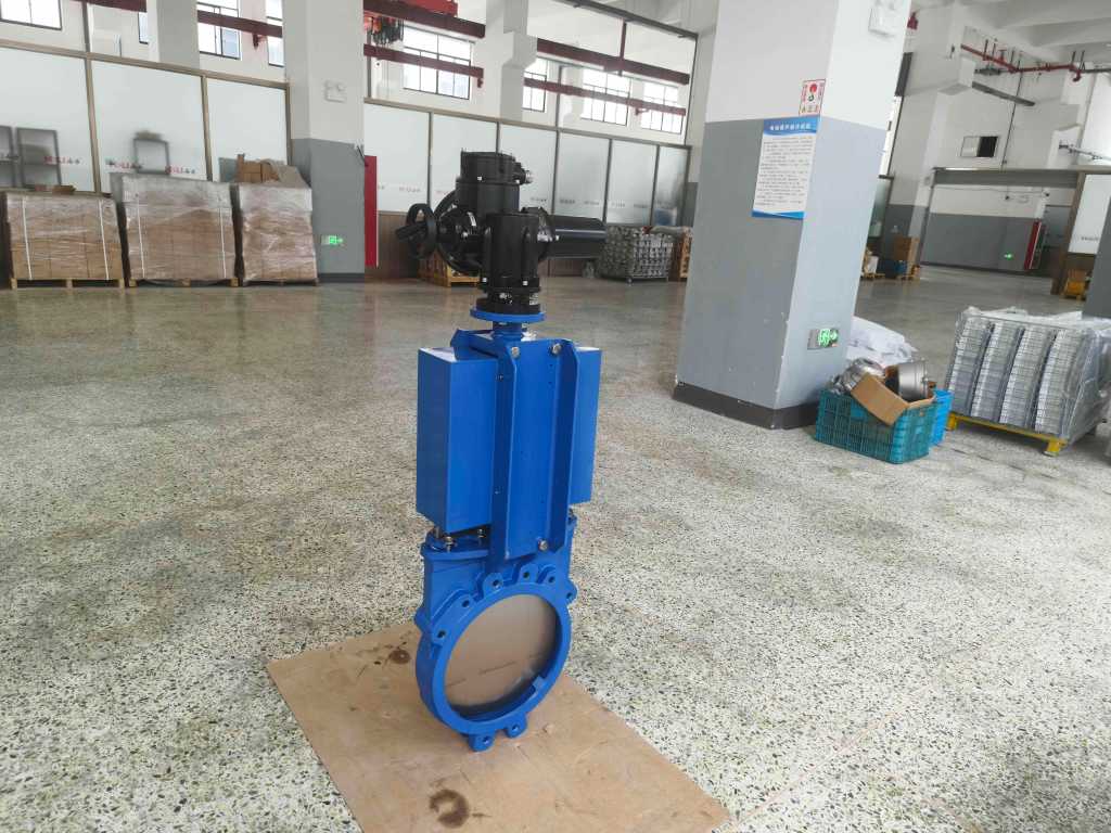Electric flat gate valve manufacturer-3.jpg